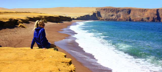 Escursione privata da Paracas