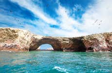Ballestas Islands & Paracas National Reserve