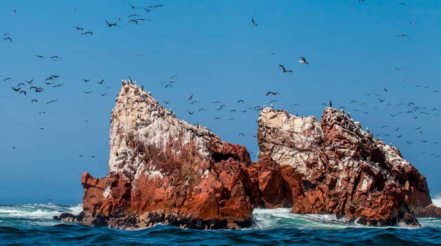 Paracas