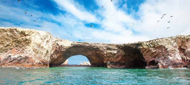 Escursione alle isole Ballestas