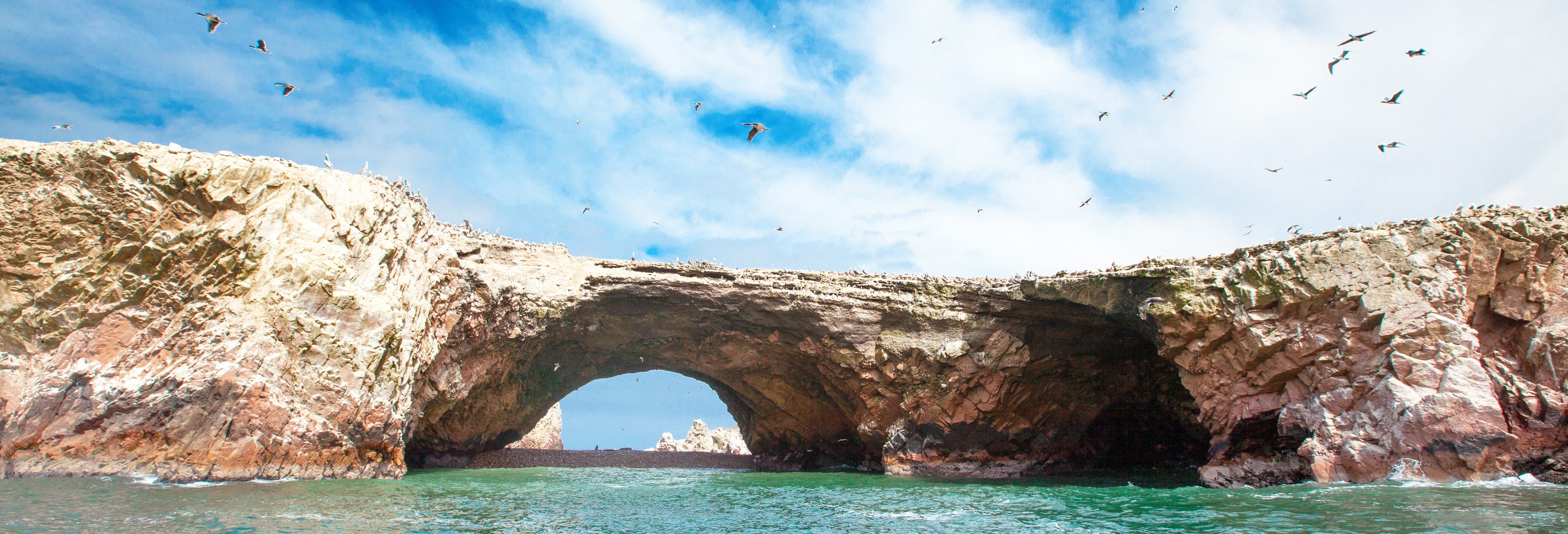 Ballestas Islands Tour