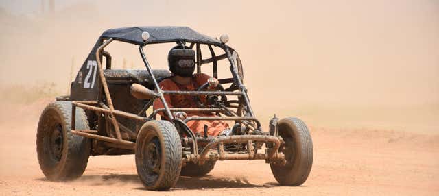 Tour della Riserva Nazionale di Paracas in buggy