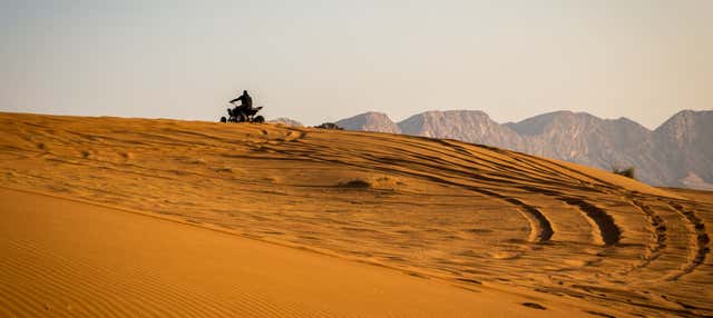 Tour della Riserva Nazionale di Paracas in quad