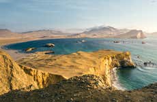 Paracas National Reserve Tour