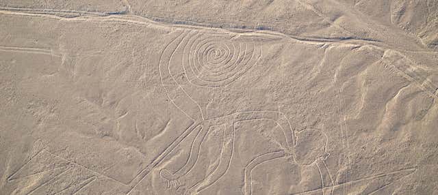Volo sulle Linee di Nazca dall'aerodromo di Nazca