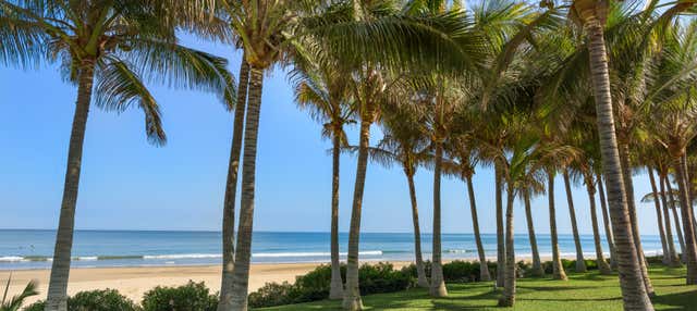 Escursione a Máncora + Bagno con le tartarughe 