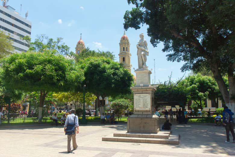 Imagen 6