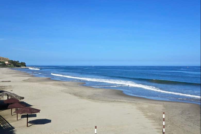 Imagen 2