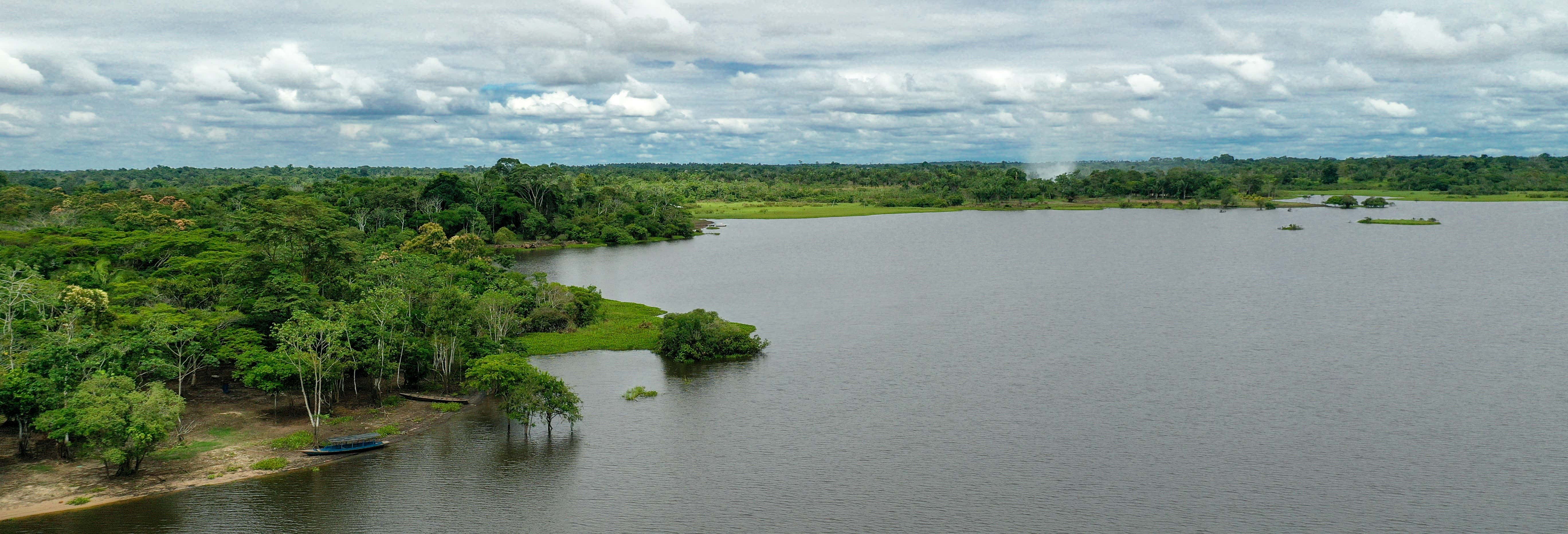 Cashibococha Lagoon Tour