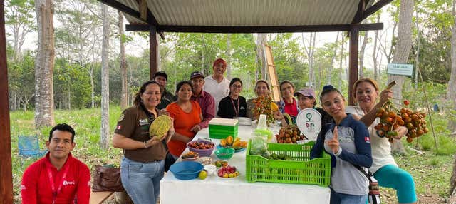 Tour gastronomico di Pucallpa