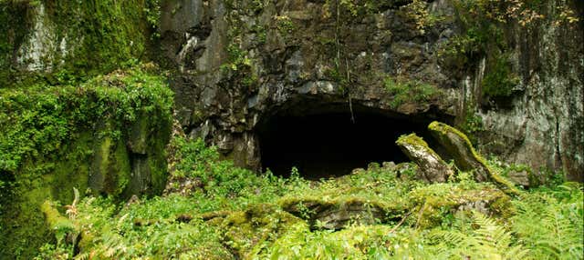 Escursione alla Cueva de la Viuda