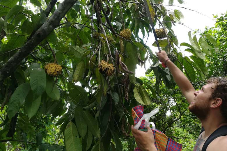Imagen 6