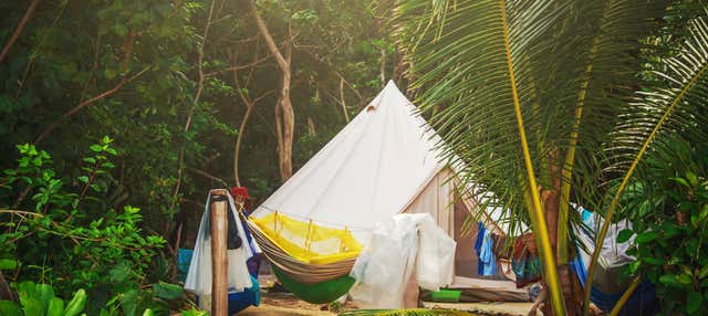 Trekking e notte nella foresta amazzonica