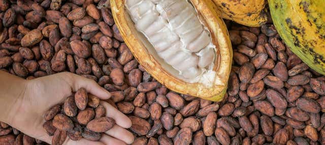 Laboratorio di cioccolato a Puerto Inca