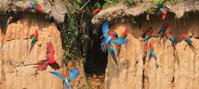 Escursione alla collpa di are