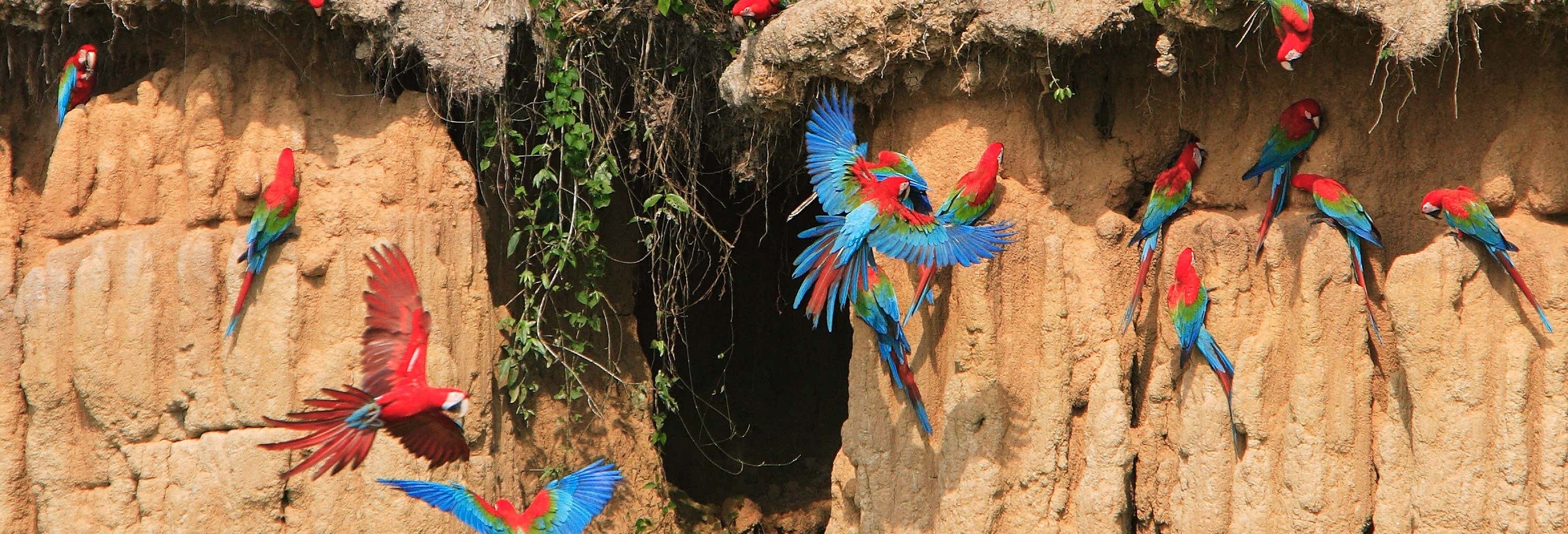 Escursione alla collpa di are