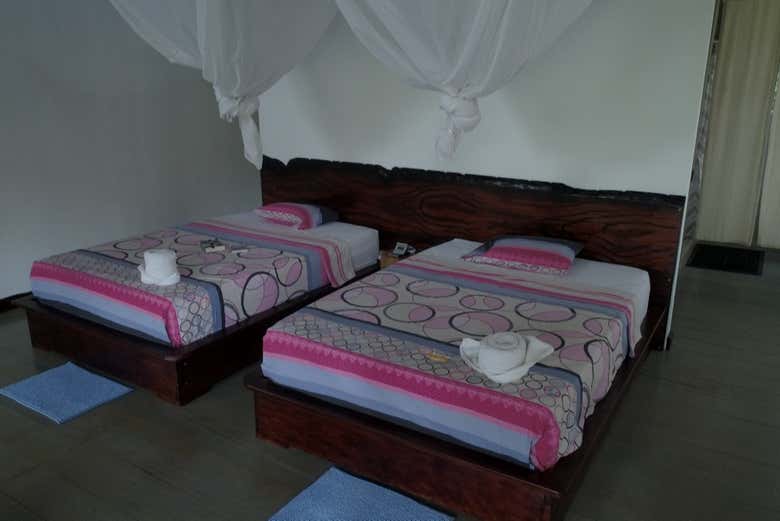 Imagen 8