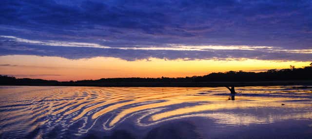 Giro in barca al tramonto con avvistamento di capibara