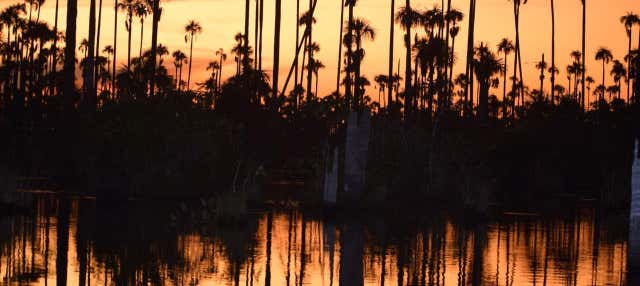 Pesca di piranha e avvistamento di uccelli