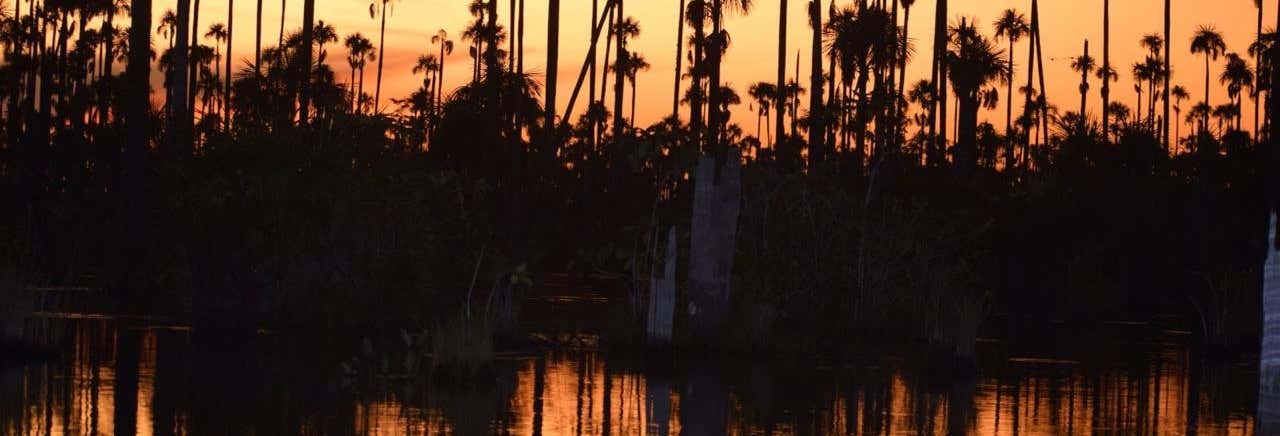 Pesca di piranha e avvistamento di uccelli