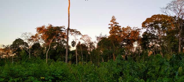 Trekking di 4 giorni a Puerto Maldonado