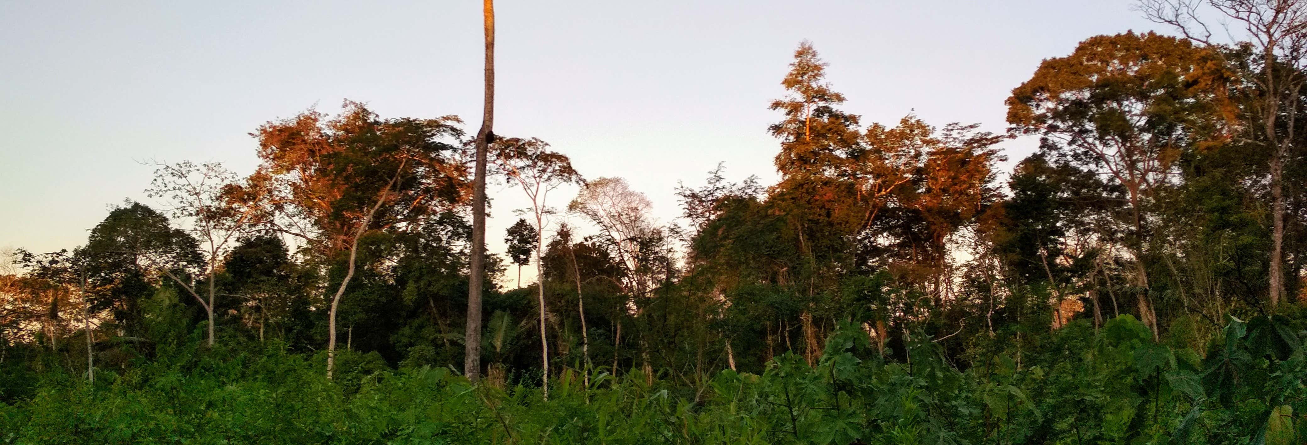 Trekking di 4 giorni a Puerto Maldonado