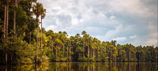 Trekking nella Foresta Amazzonica + Lago Sandoval