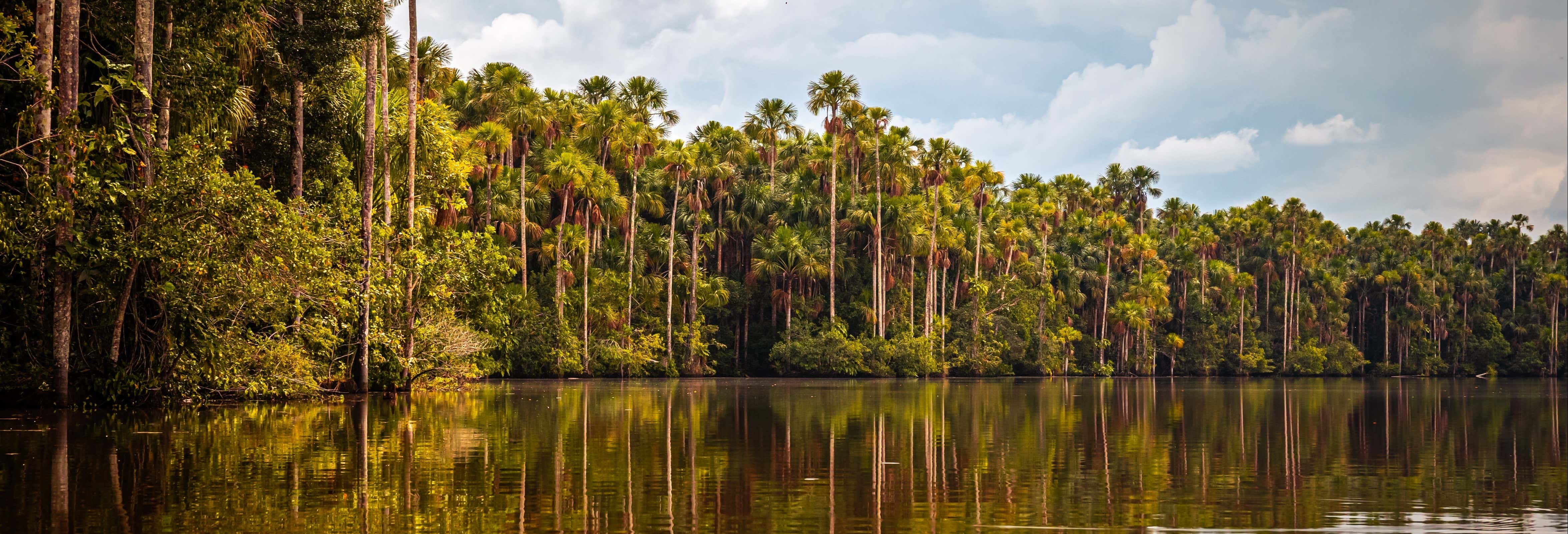 Lake Sandoval Amazon Trek