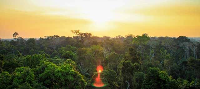 Visita di 2 o 4 giorni della comunità amazzonica Loero