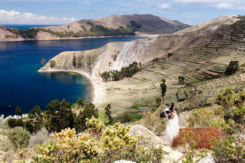 Imagen 2