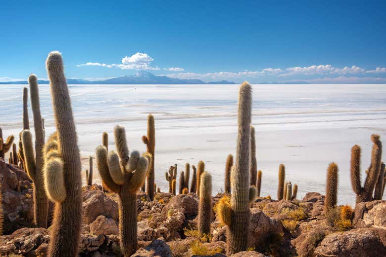 2-Day Trip to La Paz & the Salar de Uyuni