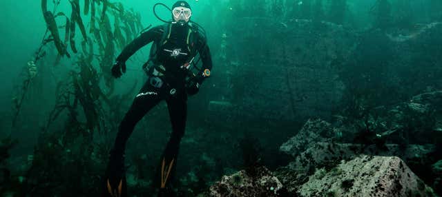 Immersione per principianti a San Bartolo