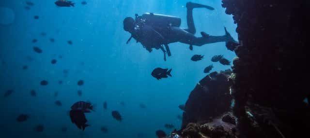 Immersione a San Bartolo