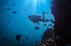 Diving in San Bartolo