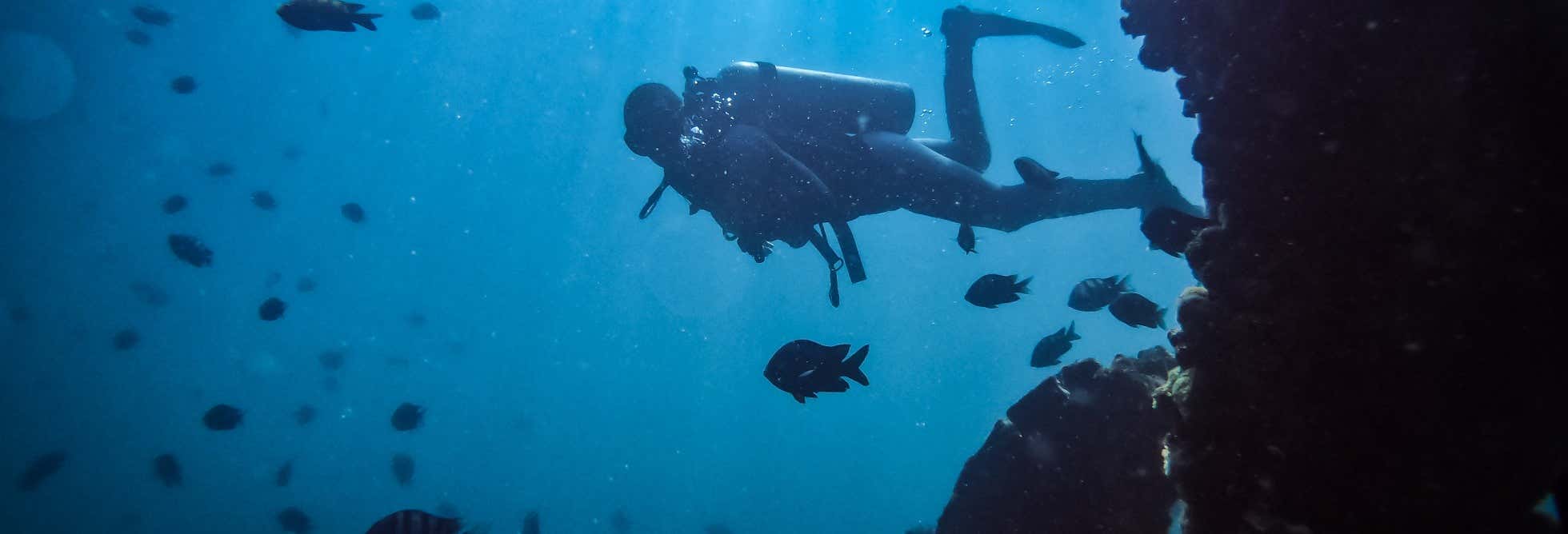 Diving in San Bartolo