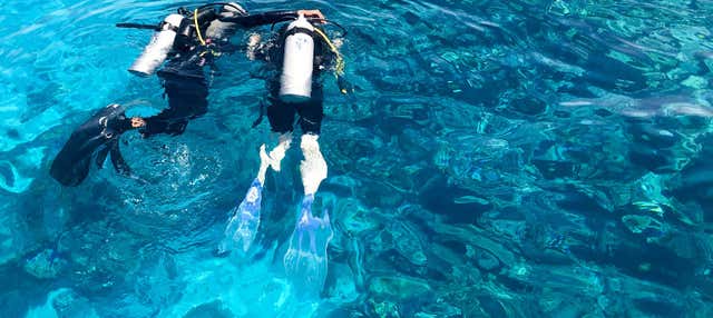 Corso di immersione PADI Open Water