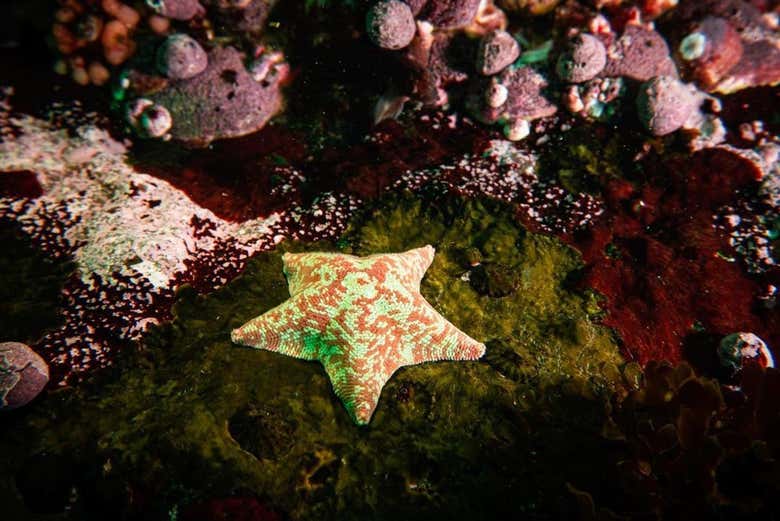 Imagen 8