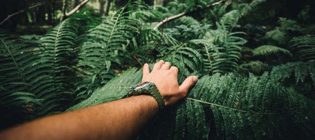 Trekking sul Sentiero di Indiana Jones + Cascata di Borgoña