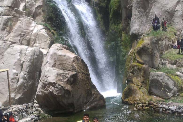 Imagen 3
