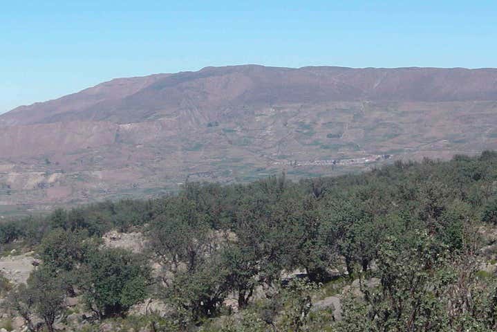 Imagen 6