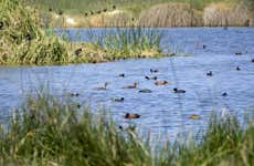 Puerto Grau, Ite Wetlands & Tacahuay Hills Day Trip