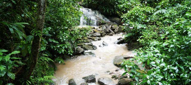 Escursione alla cascata di Ahuashiyacu