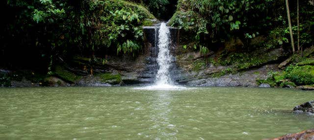 Escursione alla cascata di Carpishuyacu