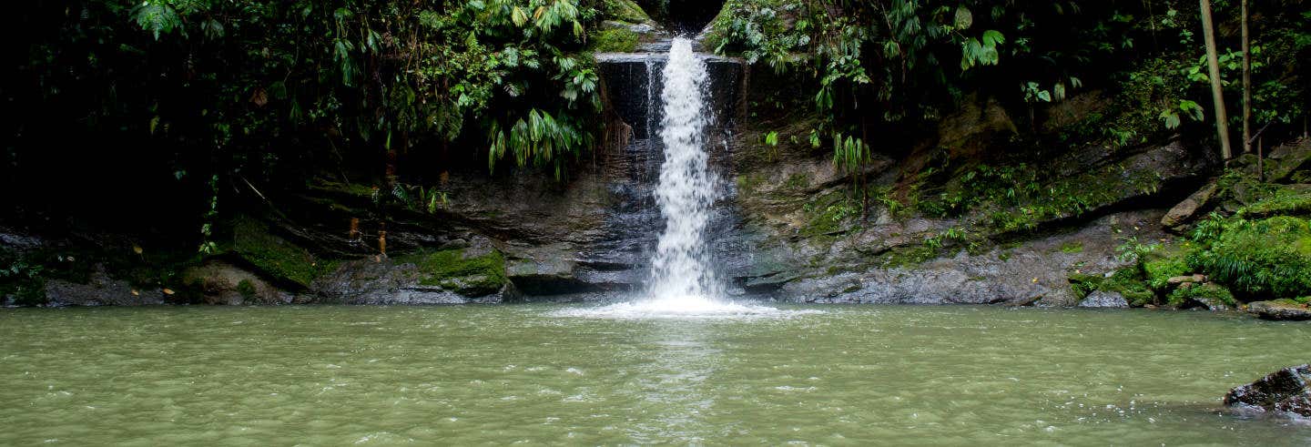 Escursione alla cascata di Carpishuyacu