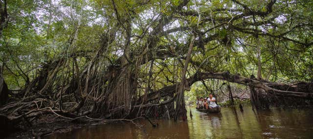 Escursione alla Riserva Ecologica di Tingana + Giro in canoa