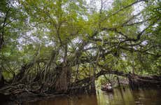 Excursión a la Reserva Ecológica de Tingana + Paseo en canoa