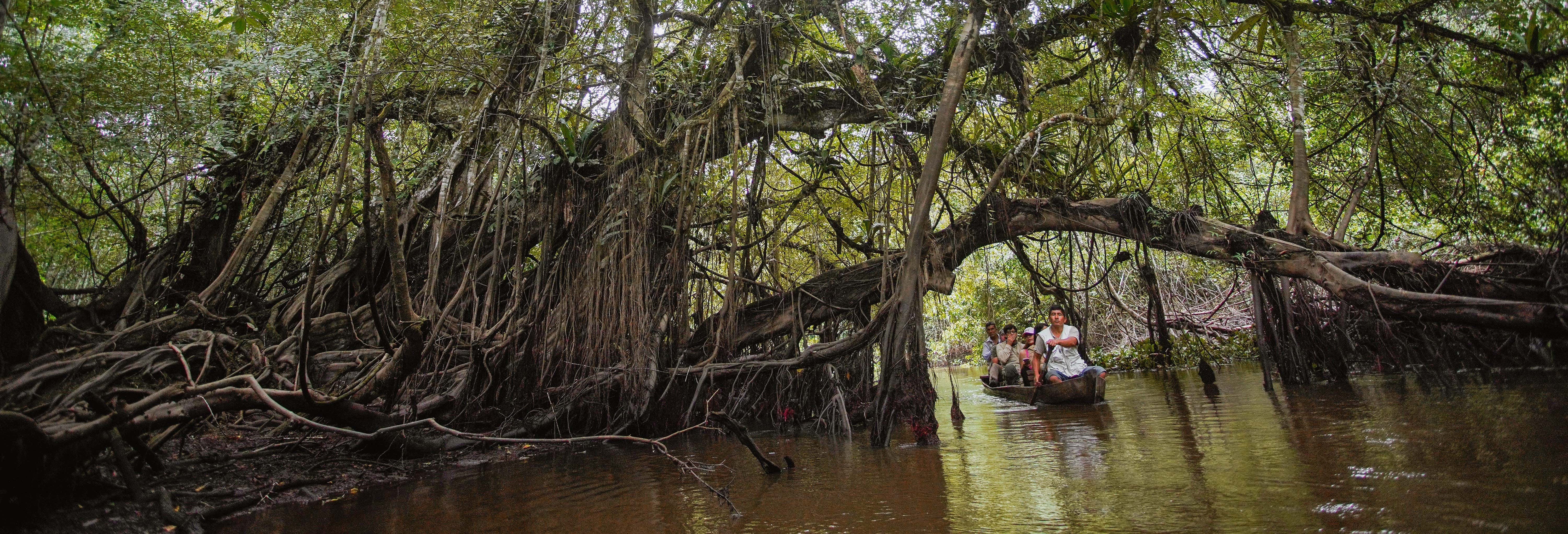 Escursione alla Riserva Ecologica di Tingana + Giro in canoa