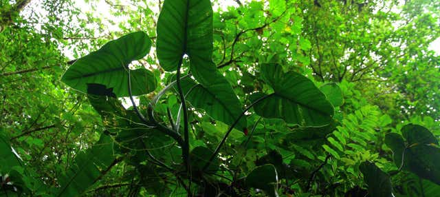 Escursione a Santa Elena e alla Cueva de Palestina