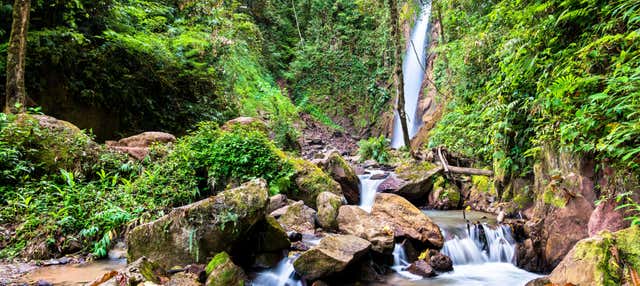 Escursione a San Ramón e alla conca di Toterani