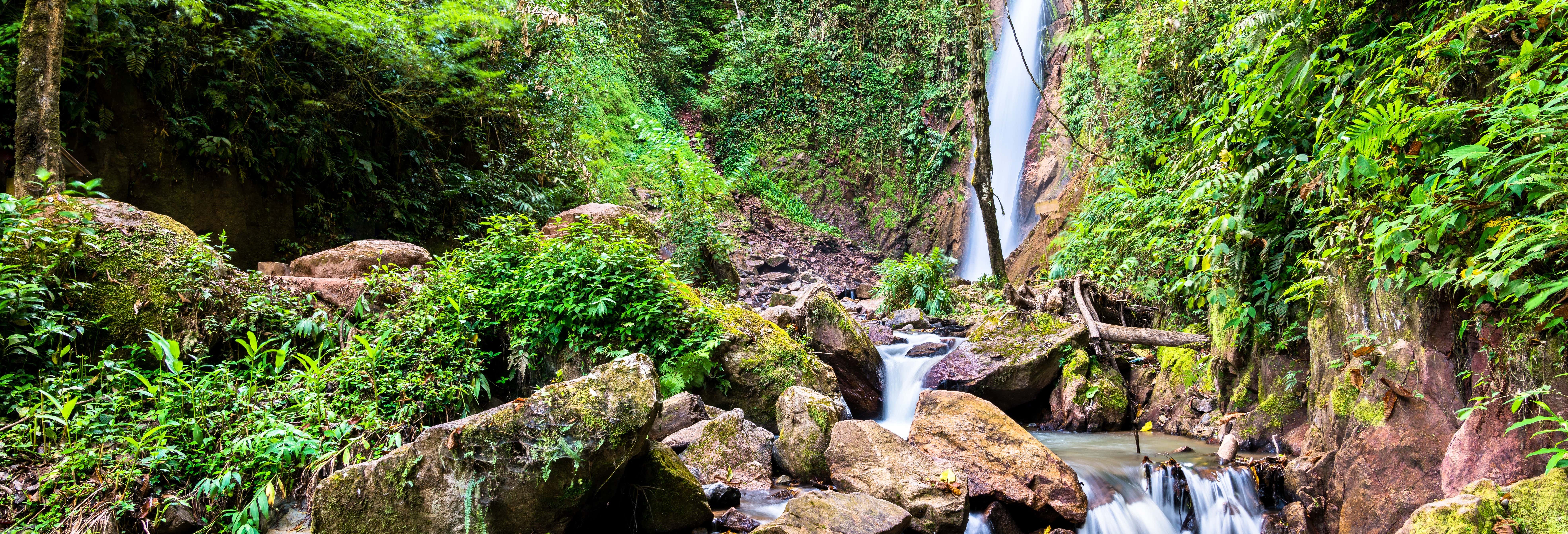 Day Trip to San Ramón & the Toterani Basin